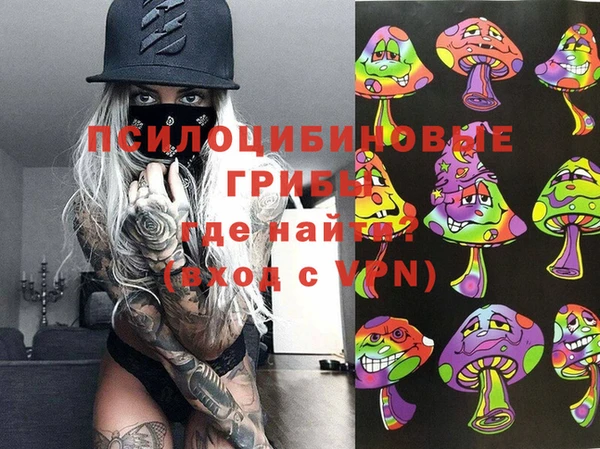 jwh Богородск
