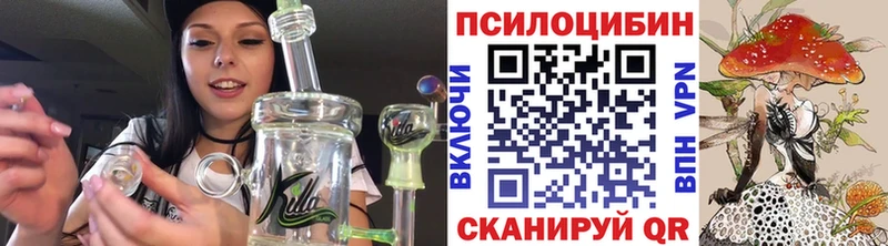 Псилоцибиновые грибы Cubensis  закладка  Чёрмоз 